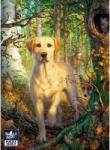 Black Sea BS72114 - Forest adventure - 1000 db-os puzzle (BS72114)