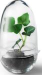 Design House Stockholm Seră Grow S (2043-0000)