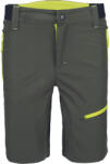 CERVA L-sure Elias munkavédelmi bermuda olajzöld színben (0310004014000)