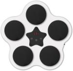 Cyrax Jucarie de Boxat cu Muzica si Lumini, 930 g Alb (134540) Sac de box