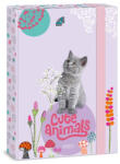 Ars Una Füzetbox ARS UNA A/4 Cute Animals-kitten