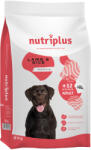  Nutriplus 2x3kg Nutriplus Adult Dog bárány száraz kutyatáp
