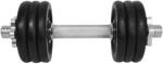 LIFEFIT Lifefit súlyzó 11 kg