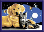 Ravensburger Creart - Pictura Catel Si Pisicuta (ARA-RVSPBN20045) Carte de colorat