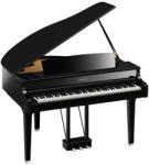 Yamaha Clavinova CLP-895GP