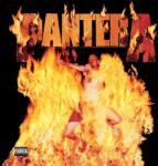 Pantera - Reinventing The Steel (180g) (Reissue) (LP) (81227974329)