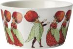 Design House Stockholm Bol Elsa Beskow The Strawberry Family, 500 ml (2286-0100) Castron