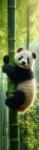  Panda AI Könyvjelző