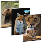 Ars Una kockás füzet A4 - Máté Bence Spirit of Nature