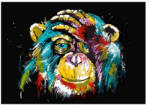  Majom Gyémántszemes kirakó 30x40 cm (KS407340)