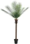  EUROPALMS Phoenix Palm Deluxe, artificial plant, 220cm (82509722)