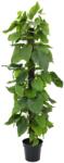  EUROPALMS Pothos Plant, artificial plant, 180cm (82600227)