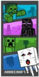 Brandmac Minecraft Adventure Time 70x140 cm (BRM019362)