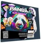 Panta Plast Splat Planet modellező gyurmakészlet, Panda