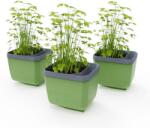 Gusta Garden HERBS BUDDY önöntözős, zöld, 3 darab (GG-122F11)