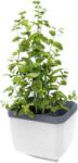 Gusta Garden HERBS BUDDY önöntözős, fehér (GG-124F10)