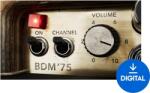 Bogren Digital Ampknob BDM '75 (Digitális termék)