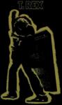 T. Rex - Electric Warrior (LP) (0600753540763)