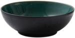 Bitz Bol de masă 30 cm, negru/verde, Bitz (BITZ821382) Castron