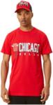 New Era Férfi szabadidő rövid ujjú pólók New Era NBA TRIANGLE LOGO TEE CHICAGO BULLS piros 12893076 - L