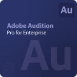 Adobe Audition - Edition 4 for Enterprise 1 - 9 User (65324893CA01A12)
