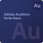 Adobe Audition - Pro for Teams 1 - 9 User (65324901CA01012)
