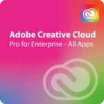 Adobe Creative Cloud Pro Plus for Teams Corporate 1 - 9 User (65325078CA01A12)
