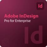 Adobe InDesign - Edition 4 for Enterprise 1 - 9 User (65324928CA01A12)