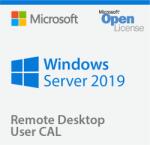 Microsoft Windows Server Remote Desktop Services 2019 1 User CAL RDS CAL Client Access License (100595-DE)