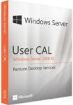 Microsoft Windows Remote Desktop Services 2008 1 User CAL (100113-DE)