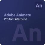 Adobe Animate - Edition 4 for enterprise 1 - 9 User (65324915CA01A12)