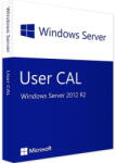 Microsoft Windows Server 2012 R2 User CAL 10 CALs (R18-03739)