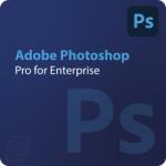 Adobe Photoshop - Edition 4 for enterprise 1 - 9 User (65324857CA01A12)