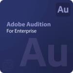 Adobe Audition for Enterprise Corporate 1 - 9 User (65322429CA01A12)