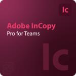Adobe InCopy - Pro for Teams 1 - 9 User (65324902CA01012)