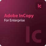 Adobe InCopy - Edition 4 for Enterprise 1 - 9 User (65330679CA01A12)