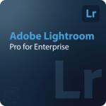 Adobe Lightroom - Edition 4 for Enterprise 1 - 9 User (65324774CA01A12)