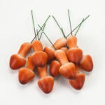  Erdei gomba - világosbarna 5, 3x2, 5cm 5db/csomag