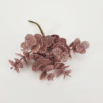 Papelito Eukaliptusz pick - virágdekorációhoz és koszorúhoz