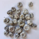  Tökbogyó hamvas 1*1, 5cm 20/cs 1002HAMV (1002C)