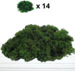  Izlandi zuzmó, moha méregzöld 500gr