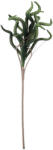 Bizzotto Set 12 crengute artificiale verzi Lauralie 30x78h (0170144)