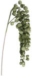 Bizzotto Set 12 crengute Eucalipt artificial verde 32x92h (0170160)