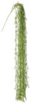Bizzotto Set 12 plante artificiale verzi Grigor 185h (0171901)