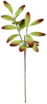 Bizzotto Set 12 crengute artificiale verzi rosii Jaqueline 38x91h (0170135)