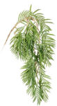 Bizzotto Set 24 plante artificiale Palmier 95h (0171915)