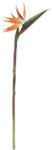 Bizzotto Set 12 flori Sterlizia artificiala 4x23x98h (0170670)