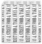 WIMEX Papírzacskó (FSC Mix) zsírálló Street Food 17 x 16 cm [500 db]