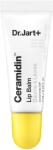 Dr. Jart+ Ceramidin Lip Balm 7 ml - vince