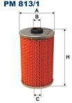 FILTRON filtru combustibil FILTRON PM 813/1 (PM 813/1) - centralcar